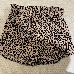 Aqua leopard print dressy shorts with tie